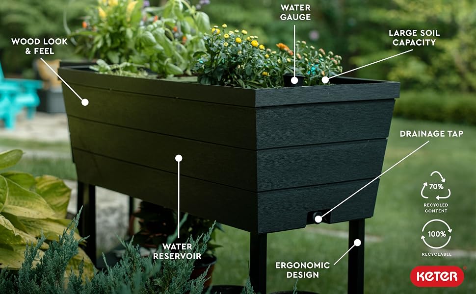 urban bloomer features