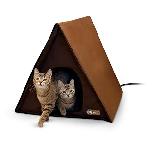 heated,cat,kitty,house,kitten,outdoor,heat,warm,winter,feral,feline,home