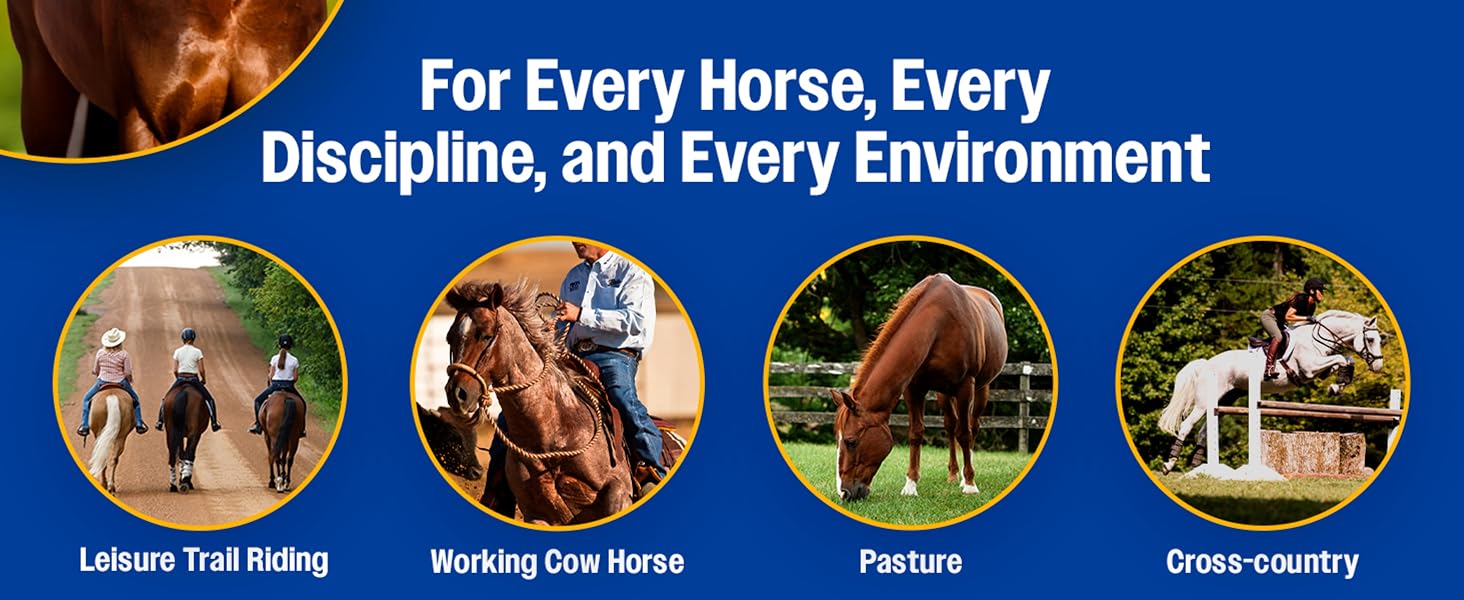Endure Sweat-Resistant Fly Spray outsmarting even the most resistant flies.