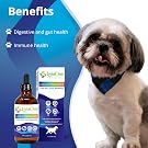 Probiotic Benefits