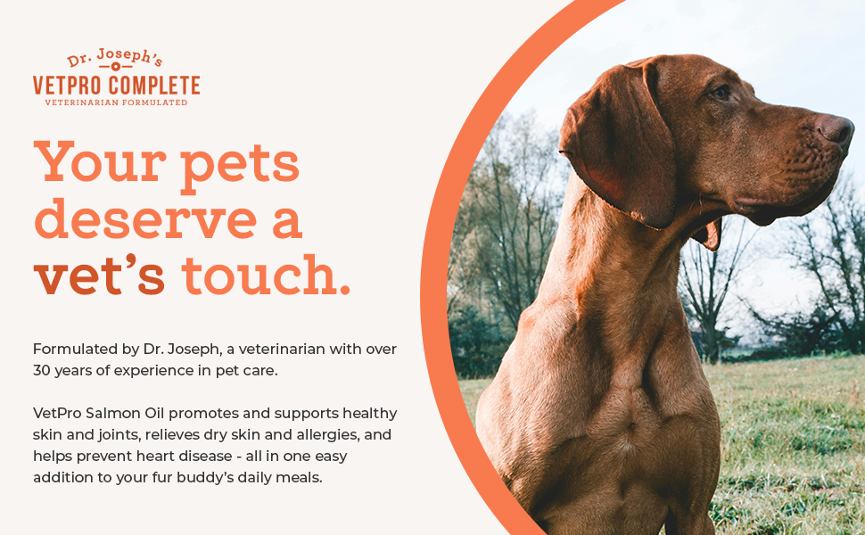 Your pets deserve a vet's touch
