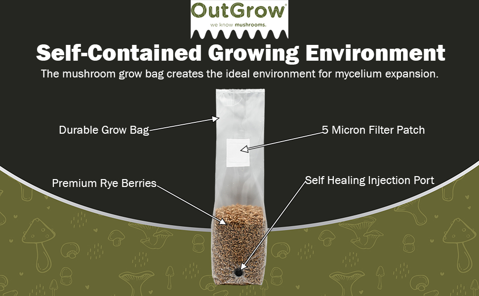 a diagram showing the differnt parts of the mushroom grow bag
