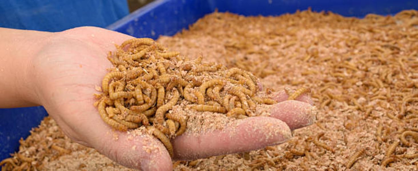 Worm bedding