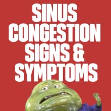 sinus