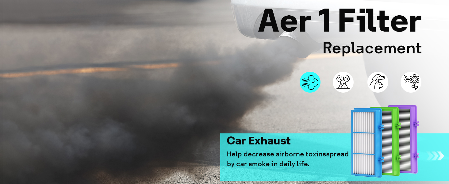 Aer1 Filter Replacement for Holmes