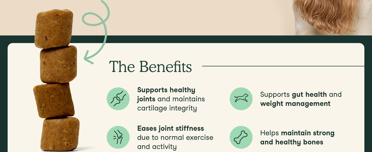 Fera Pet Hip Joint Soft Chews
