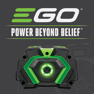 EGO, power beyond belief
