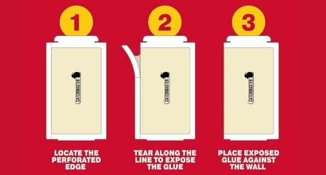Step 1, 2, 3