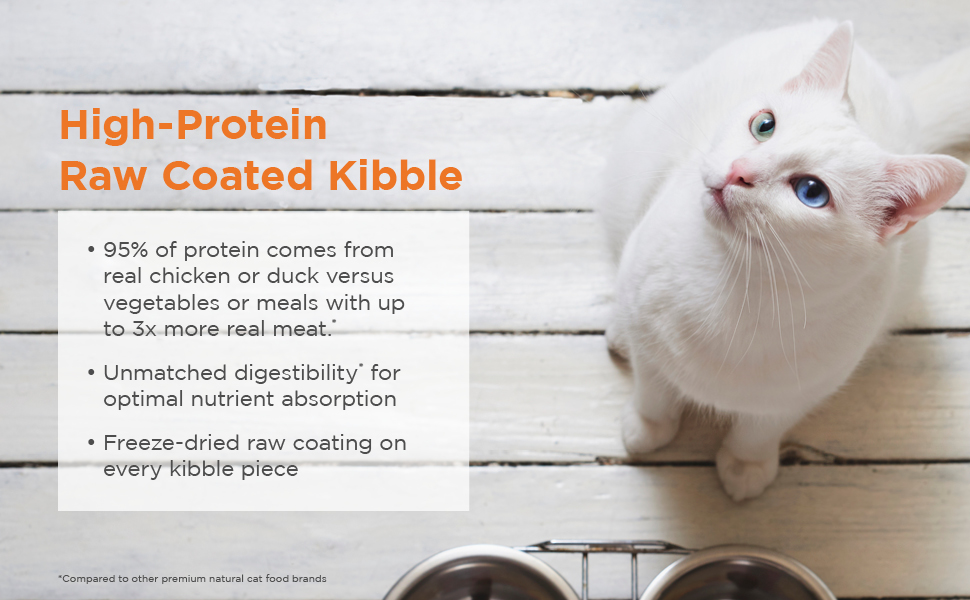 cat, cat food, cat food bowl, raw cat food, freeze dried raw