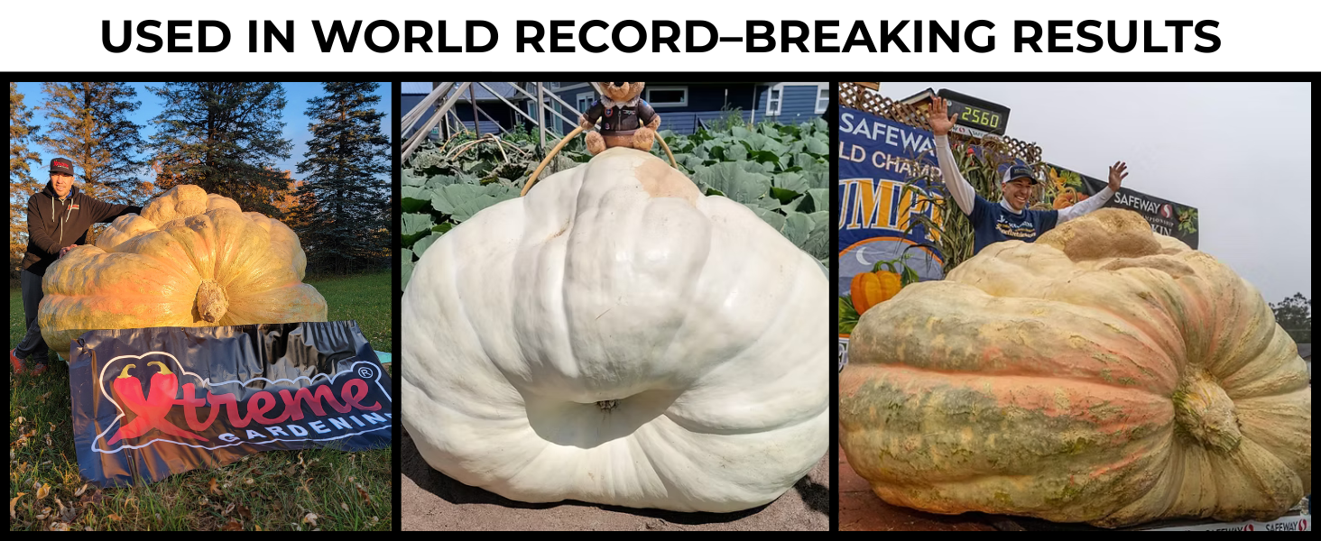 xtreme gardening world record-breaking results mycorrhizal fungi mycorrhizae