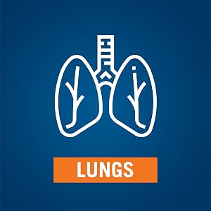 Lungs