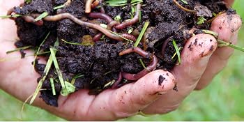 creates garden compost quickly even safe for worm farms