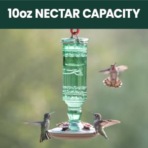 Perky-Pet Green Antique Glass Bottle Hummingbird Feeder features a 10 ounce nectar capacity