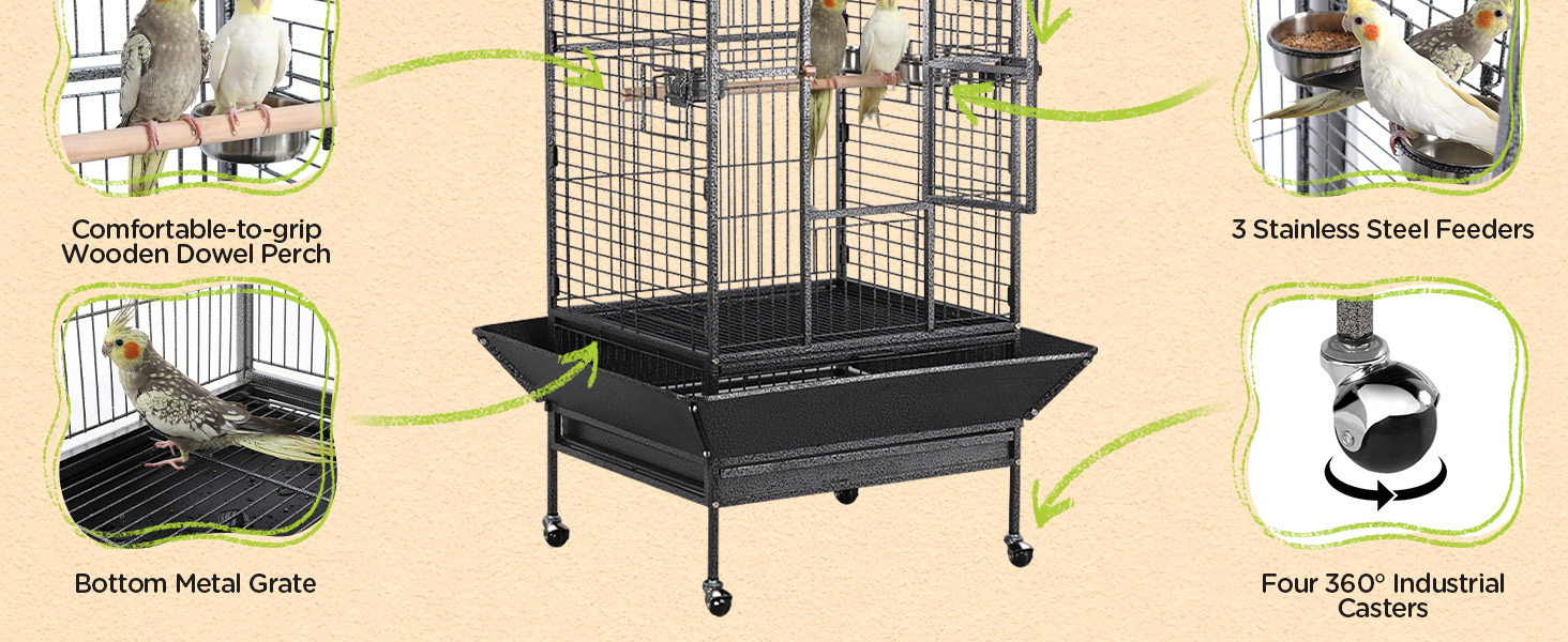 bird cage