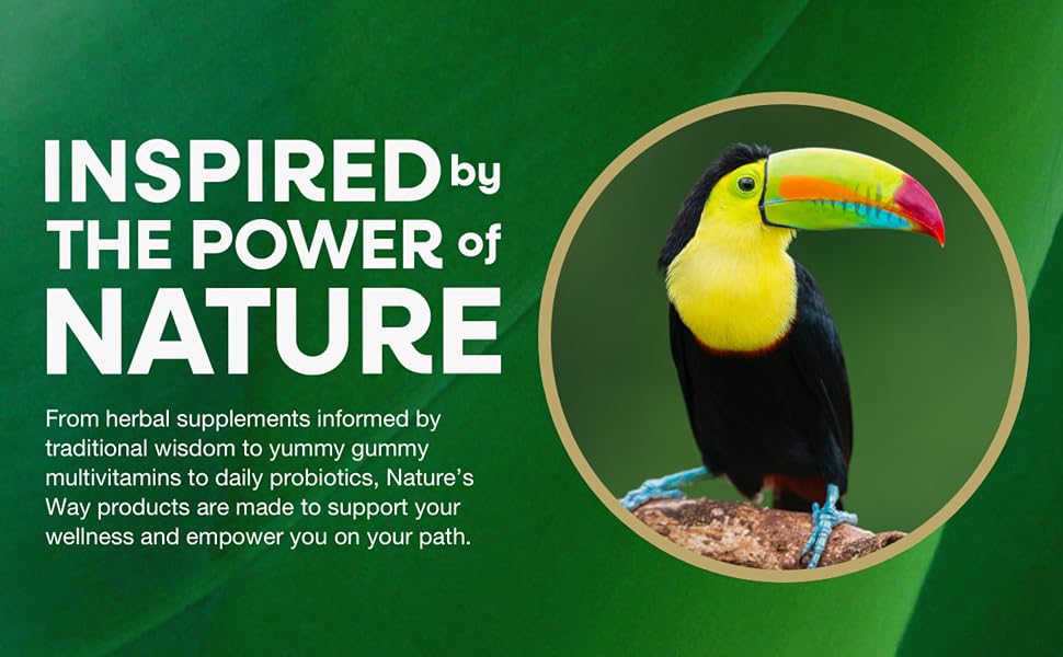 Inspired by the power of nature banner featuring a yellow and black tropical bird with colorful beak
