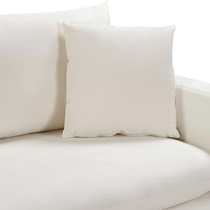 naomi living rooom collection velvet plush gold chrome stainless steel pillow tufted