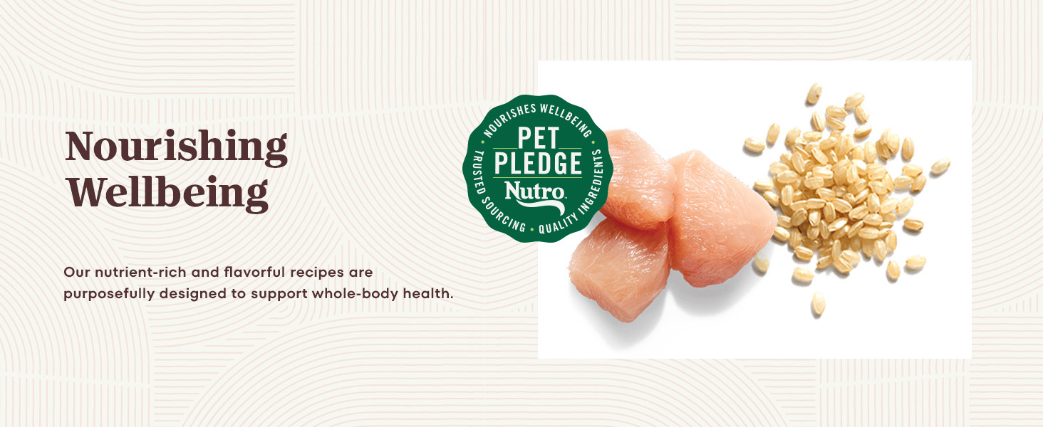 Nourishing Wellbeing