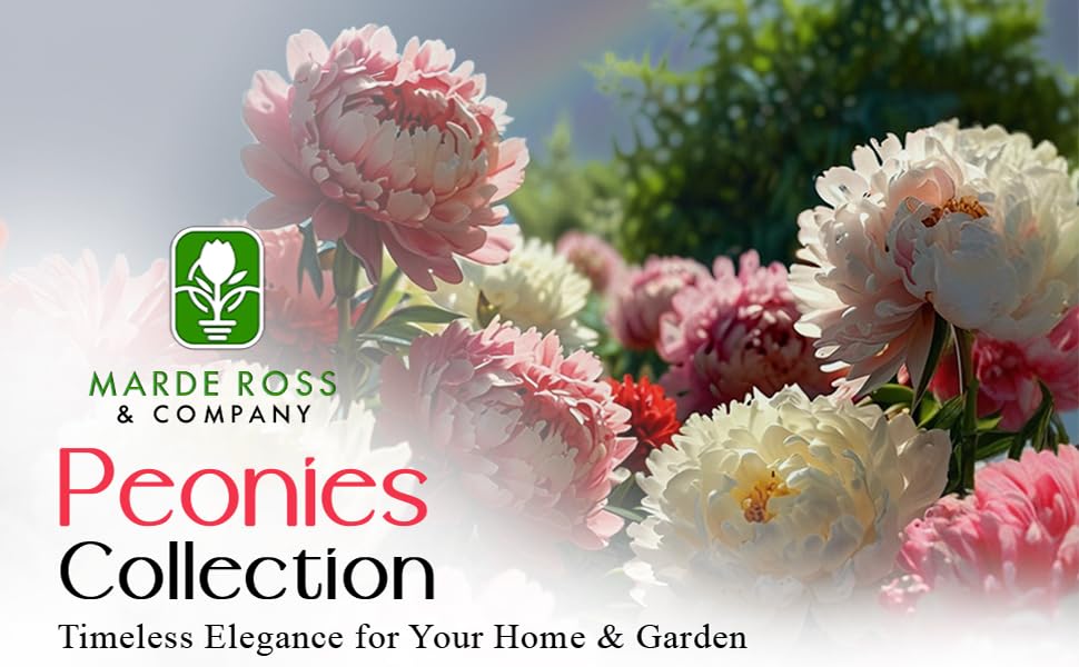 Marde 7 Ross Peonies Collection, Timeless Elegence for Your Home &amp; Garden