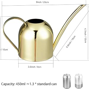 Gold Watering Can