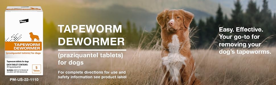 Tapeworm dewormer for dogs