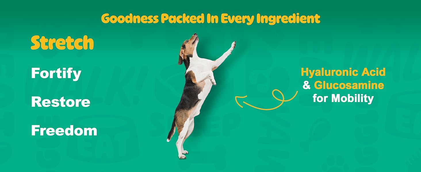 dog joint supplement, hip and joint support, glucosamine for dogs, dog chews, hip mobility