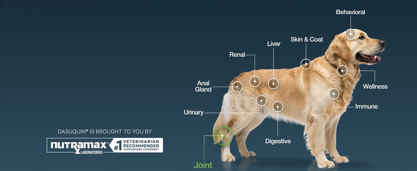 Joint Health Support for Dogs