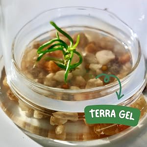 terra gel component rare plant growth nourishment thrive thriving