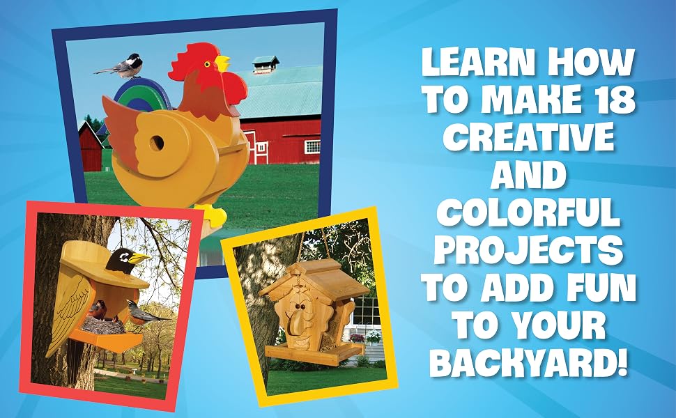 Photos showing a rooster birdhouse, a robin birdhouse, and a birdhouse with a face on it.
