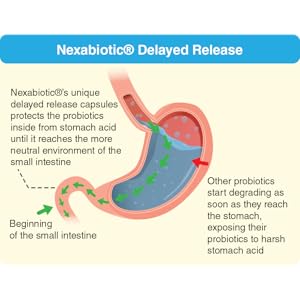 nexabiotic probiotic delayed release protects stomach acid