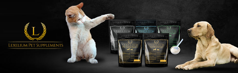 taurine supplies carnitine healthy licks treats suplemento de corazón de gato chat coeur chien