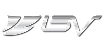 SILVER BV LOGO