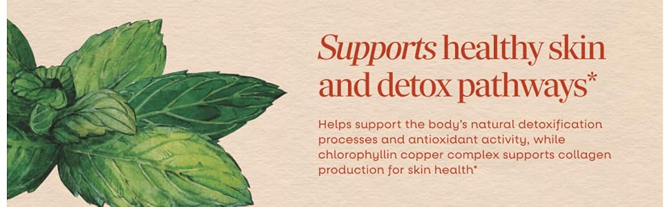 Illustration of mint leaves next to text