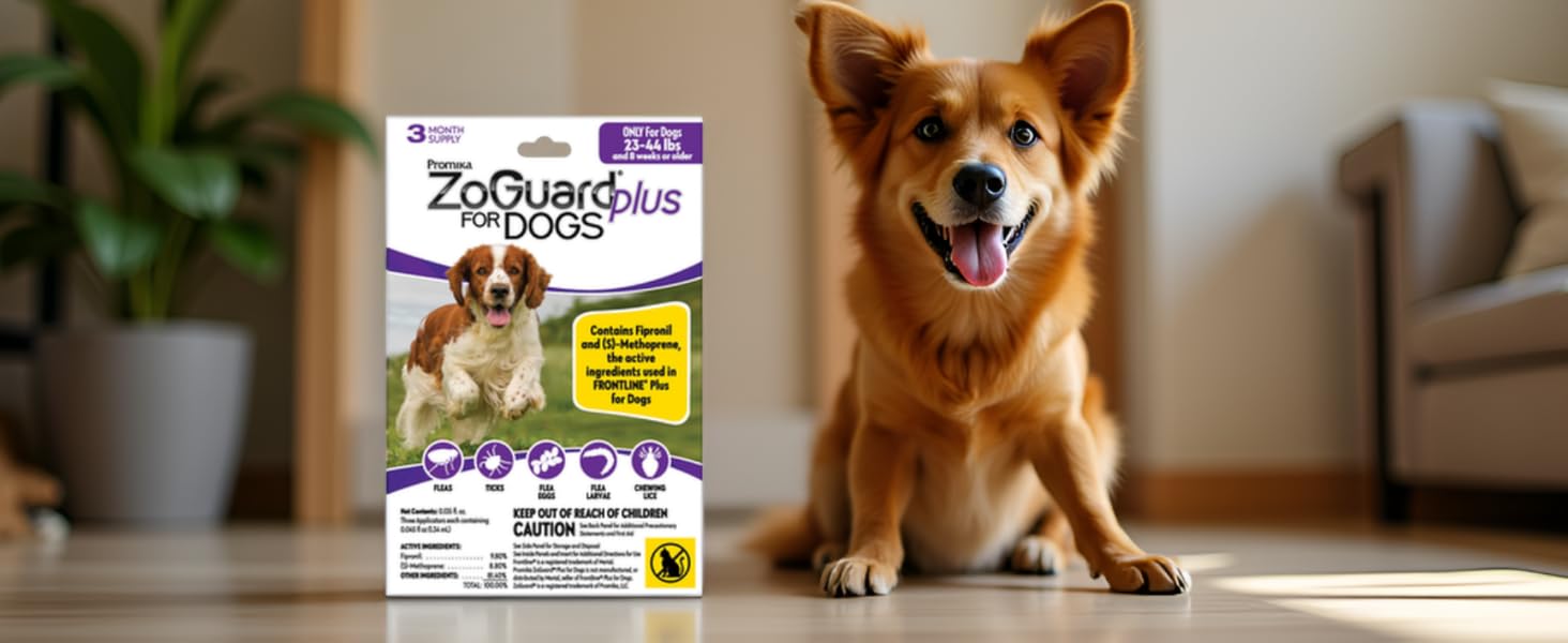 happy dog with zoguard