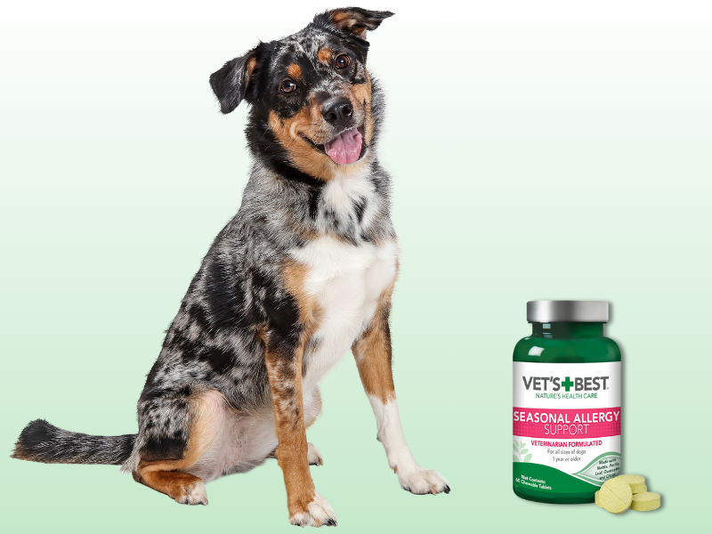 vets best seasonal allergy chews