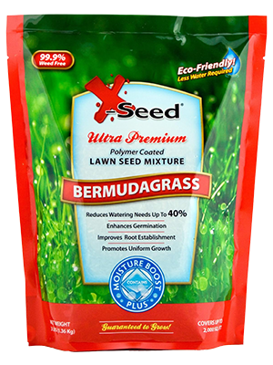 florida zenith zoysia argentine grower marathon winter palisades brachiaria make thicker evergreen
