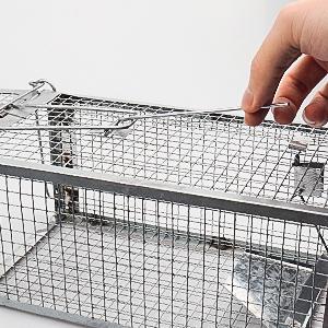 rat trap