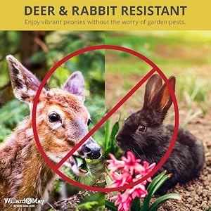 Pest Resistant