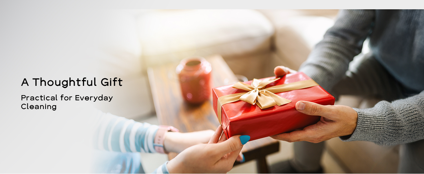 Electric Spin Scrubber gift