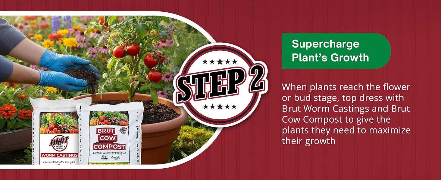 plants house plant soil indoor soil dirt for plants indoor tierra para plantas de interior plant