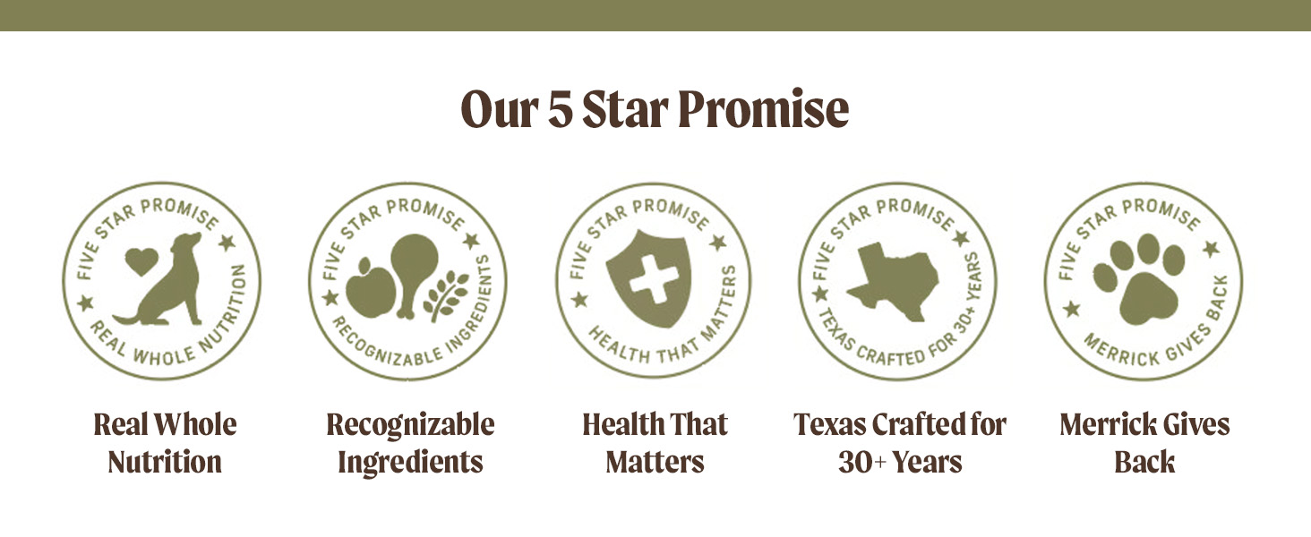 5 Star Promise Images