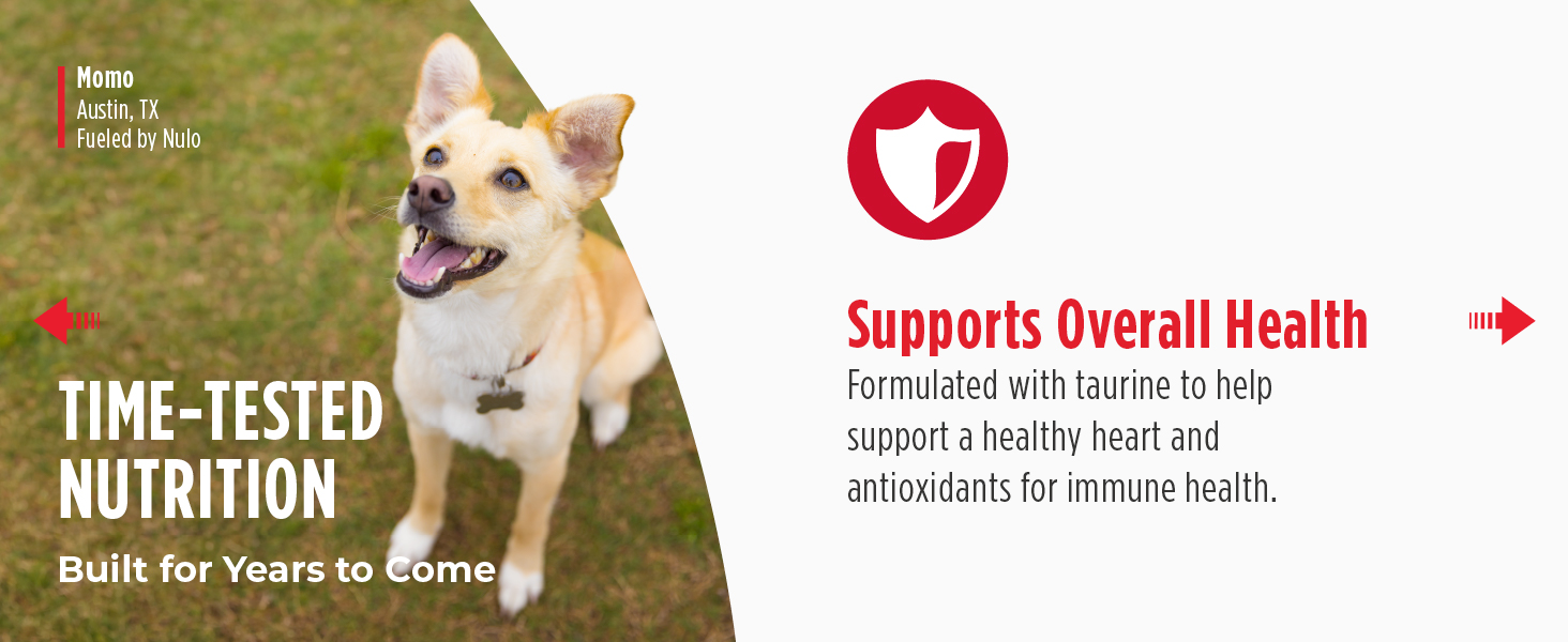 Image of dog with text reading supports overall health.