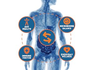 Balanced gut microbiome supporting normal immune function and wellness