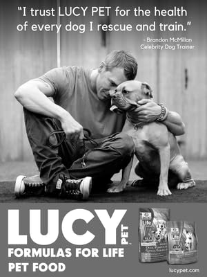 Lucy Brandon McMillan