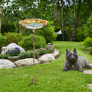 outdoor bird bath, bird baths for outdoors, bird bath bowl, bird bath with stake