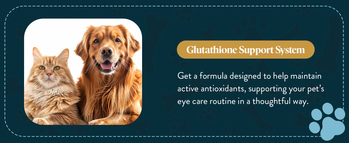 Glutathione Support