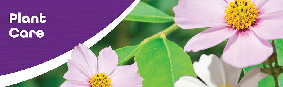 Plant Care Banner with Pink Flowers