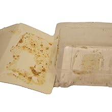Empty old suet cake tray