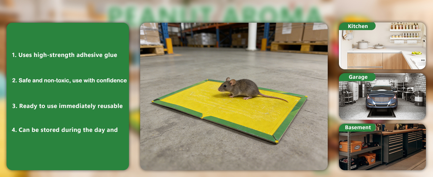 Mouse traps indoor Sticky traps for gnats