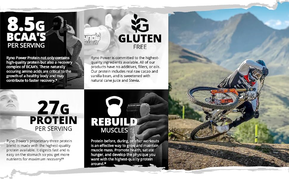 Ryno Power protein premium whey powder chocolate
