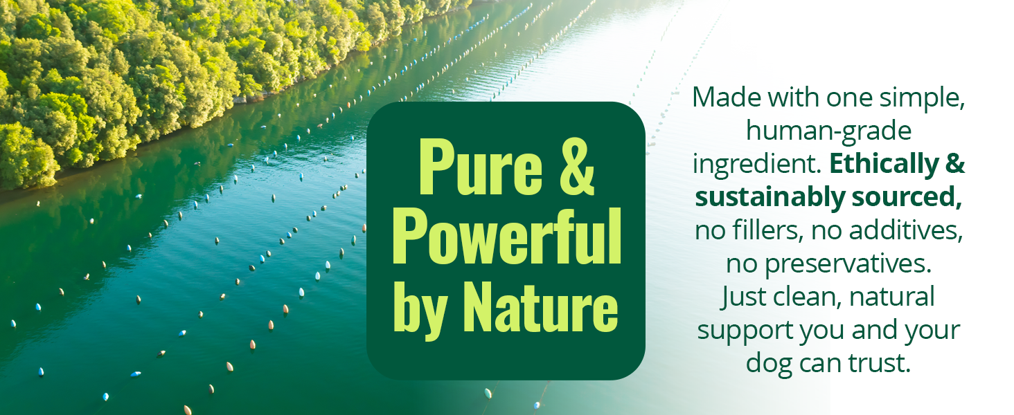 Sustainably sourced, no fillers or additives, no preservatives. Clean, natural support you can trust